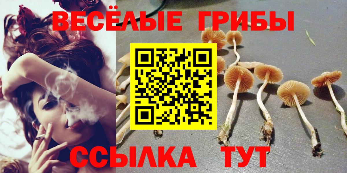 Галлюциногенные грибы MAGIC MUSHROOMS Знаменск