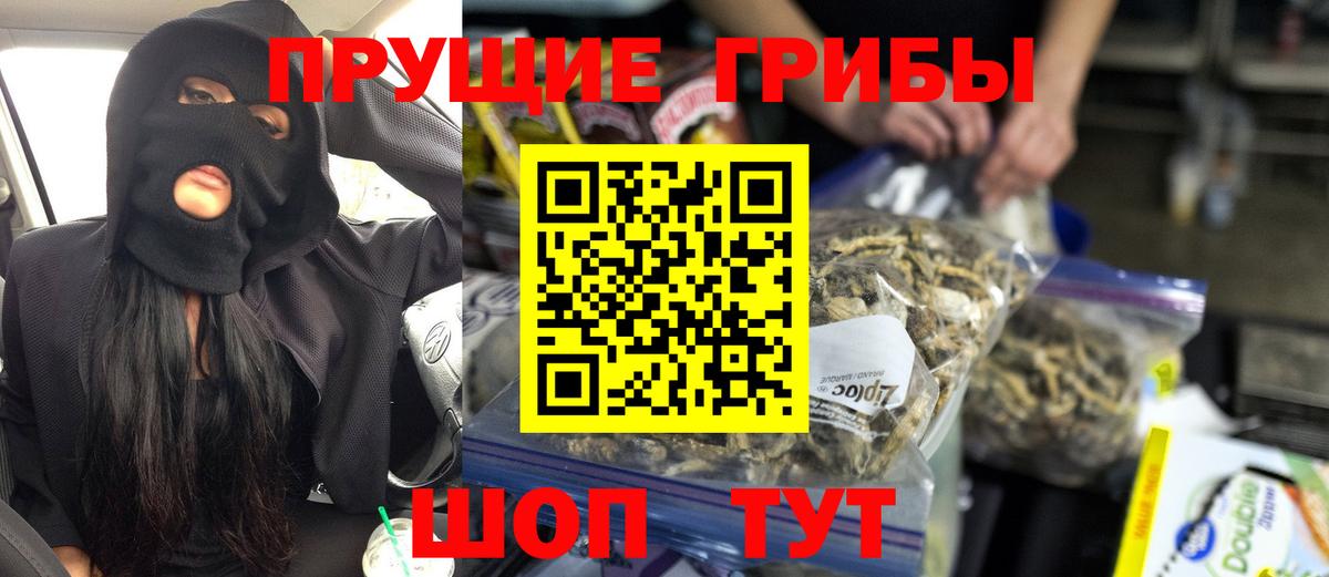 Псилоцибиновые грибы прущие грибы  Вход с VPN  Псилоцибиновые грибы ЛСД  Знаменск 
